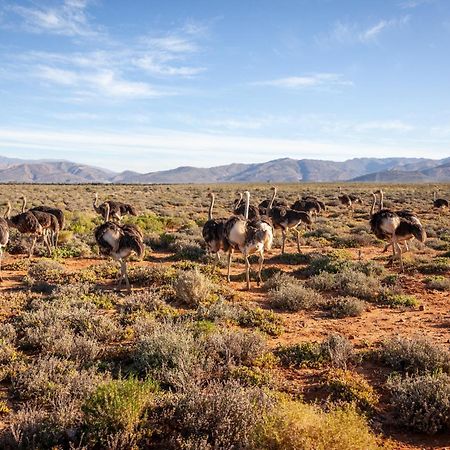 Inverdoorn Game Reserve Lodge Breede River Εξωτερικό φωτογραφία