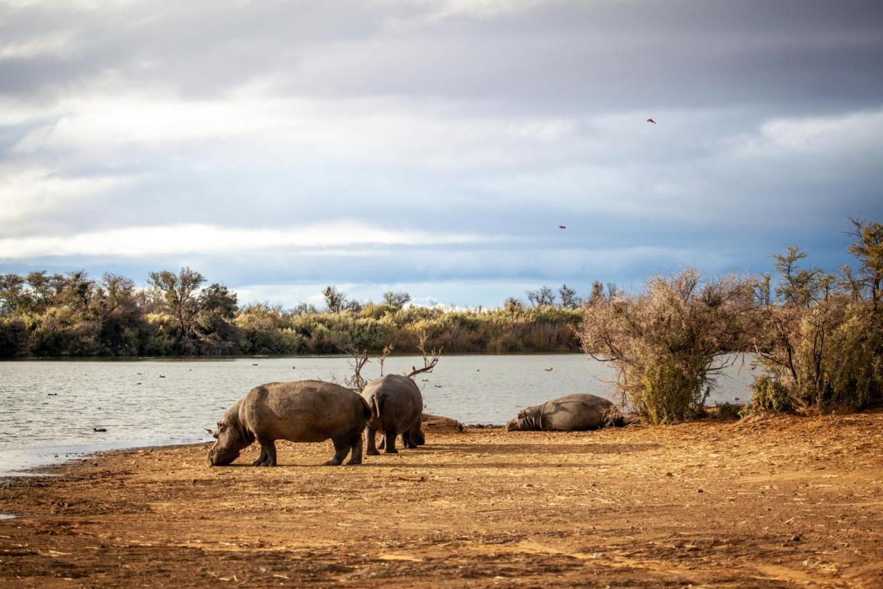 Inverdoorn Game Reserve Lodge Breede River Εξωτερικό φωτογραφία